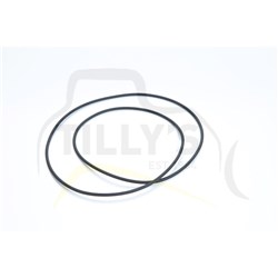 SEAL - O RING