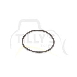 SEAL - O RING
