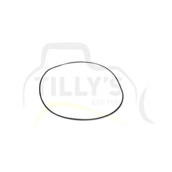 SEAL - O RING