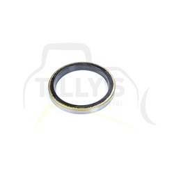 SEAL - LIP TYPE