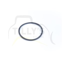 SEAL - O RING