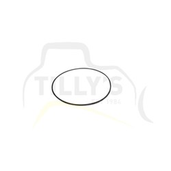SEAL - O RING
