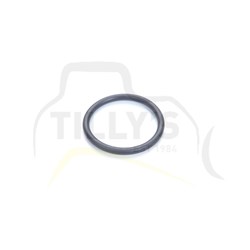 SEAL - O RING