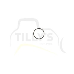 SEAL - O RING - BS024 VITON