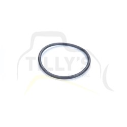 SEAL - O RING