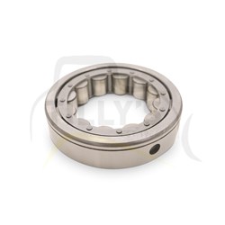 BEARING - RACE & ROLLER OUTER