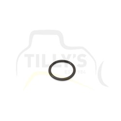SEAL - O RING