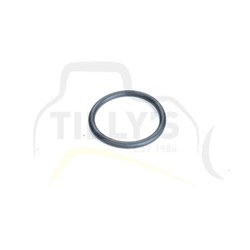 SEAL - O RING
