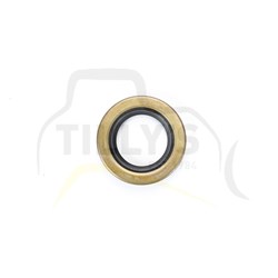 SEAL - LIP TYPE 2" SHAFT 2.84O
