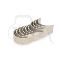 BEARING SET - CRANK MAIN 020