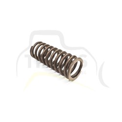 SPRING - VALVE ENGINE