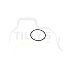 SEAL - ORING S6D125 ENGINE