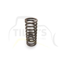 SPRING - VALVE HEAD ENGINE