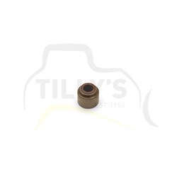 SEAL - VALVE STEM