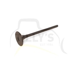 VALVE - EXHAUST S6D125