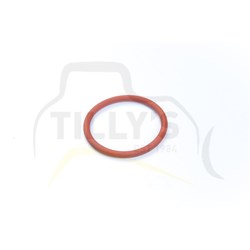SEAL - O RING