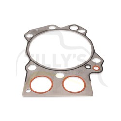 GASKET - CYL HEAD SDD170-1