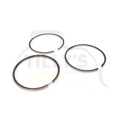 RING GROUP ASSY - STD