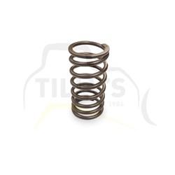 SPRING - VALVE OUTER