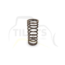 SPRING - VALVE  INNER