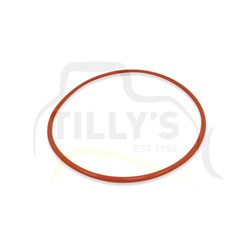 SEAL - O RING