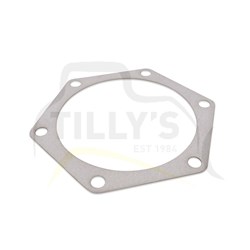 GASKET - D85-18