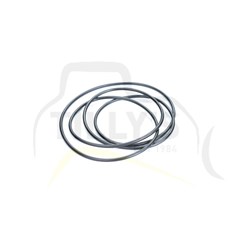 SEAL - O RING