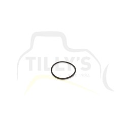 RING - BACK UP VALVE GRP 432D