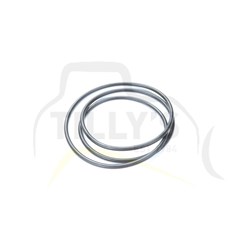 SEAL - O RING