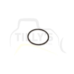 RING - RETAINER OIL CAP D6C 14