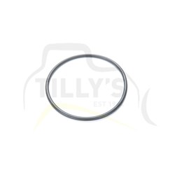 SEAL - O RING 6 ID X .192 DIA