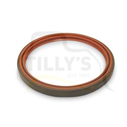 GASKET - MANIFOLD INLET