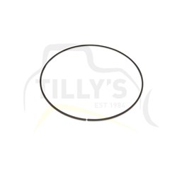 RING - SEAL METAL 015 O/S D7G