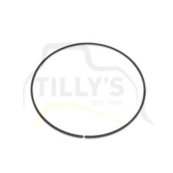 RING - TRANS PLANETARY +015