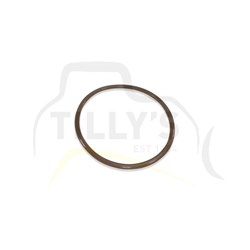 SEAL - O RING