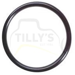 SEAL - O RING