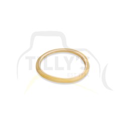 RING - BUFFER HYD CYL GRP