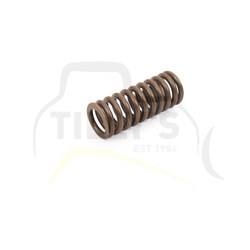 SPRING - VALVE  HEAD 3116