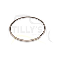 RING - OIL PISTON 3116 928F