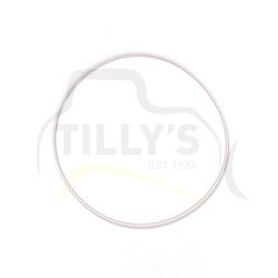 SEAL - CLUTCH PLANETRY