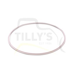 RING - SEAL STEER CLUTCH