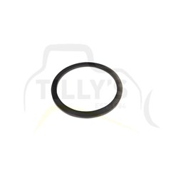 SEAL - RING CYL