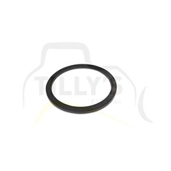 SEAL - RING CYL