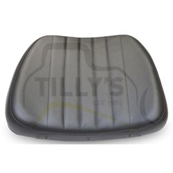 CUSHION ASSY - SEAT BACKREST