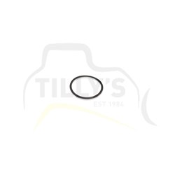 SEAL - O RING