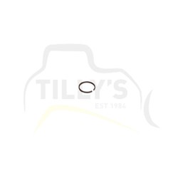 RING - PISTON CARTRIDGE GRP