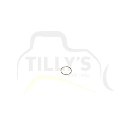 RING - RETAINING FUEL TRANSFER