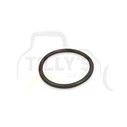 SEAL - O RING