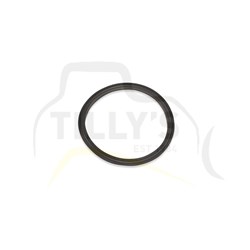 SEAL - MASTER CYC ASSY