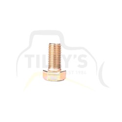 BOLT - HEX 1 X 2 UNC ZINC